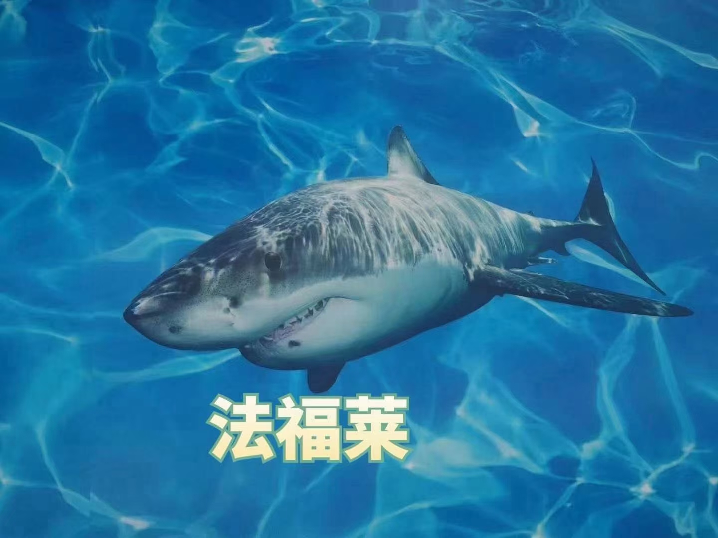 關(guān)于PVC地板的幾項(xiàng)錯(cuò)誤認(rèn)知，您有過(guò)嗎【騰方PVC地板】